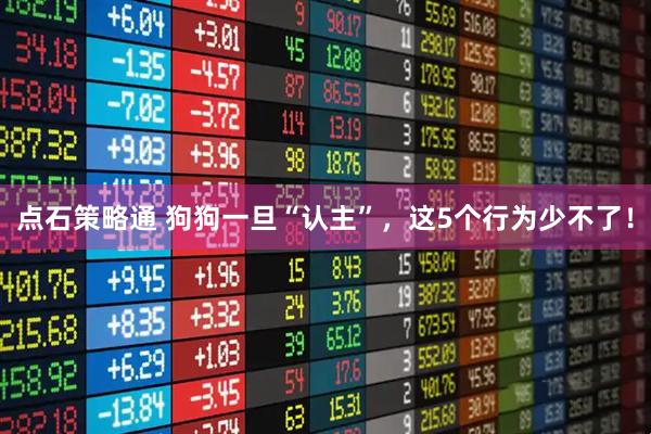 点石策略通 狗狗一旦“认主”，这5个行为少不了！