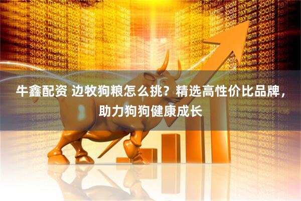 牛鑫配资 边牧狗粮怎么挑？精选高性价比品牌，助力狗狗健康成长